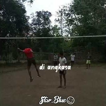 STORY WA volly (Hoby voly)