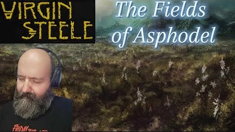 Virgin Steele Fields of Asphodel rapid fire reaction