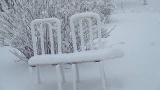MVI 2574 snow storm in april 2026 in the s of sask