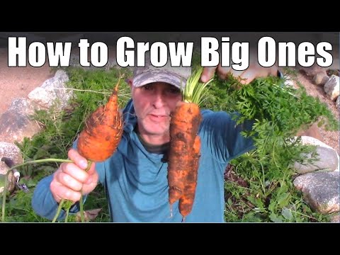 How to Grow