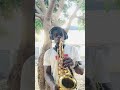 Davido money follow you saxophone cover