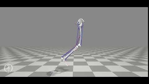 opensim video CMCnew