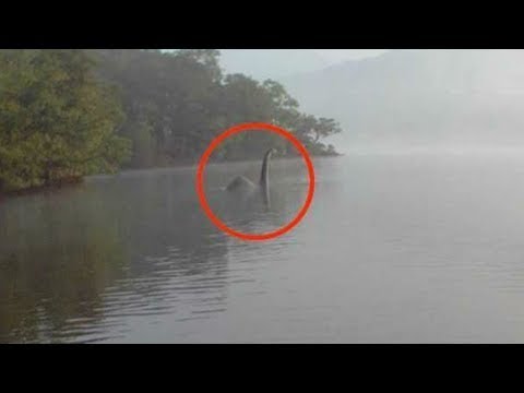 უცნაური არსებები და მოჩვენებები (ნაწილი 17)