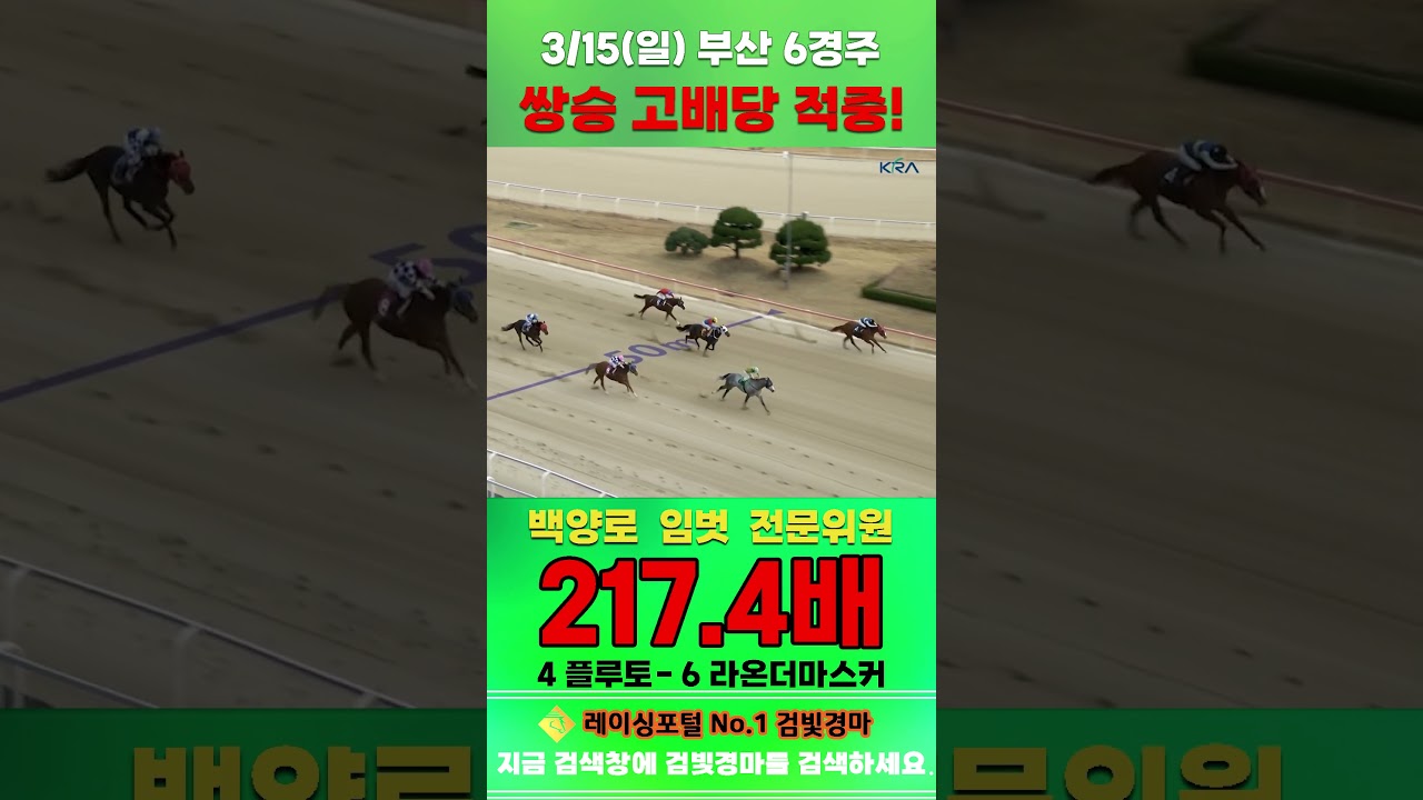 [부산 경마] 3월 15일 일요 6경주 백양로 임벗 전문위원 쌍승 고배당 적중 #한국마사회 #horse #경마 #automobile #하이라이트 #equestrian #게임