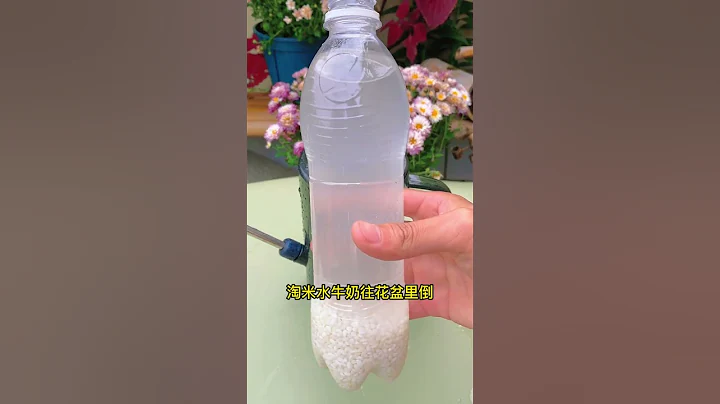 被你浇水淹死的花 #养花 #绿植盆栽 - 天天要闻