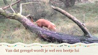 Wandelingen 16 En 17 Januari 2012