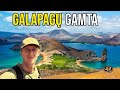 Kelionė į Galapagus. Tarp ryklių ir stulbinančio ugnikalnių kampelio