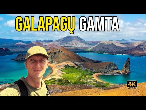 Video: Kaip pigiai keliauti po Galapagų salas