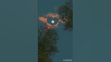 Beautiful nature //khubsurat #shorts #nature #whatsapp #viral #4k #video 🌼🌺🌺🌷#status