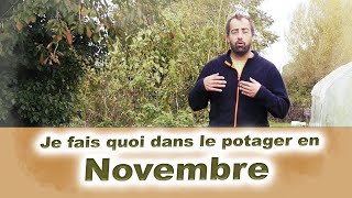 Je fais quoi dans le potager en NOVEMBRE