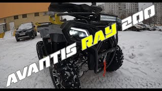 : AVANTIS RAY 200// / -   : " "