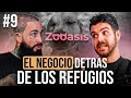 La verdad detrs de los refugios de animales juanma de zooasis