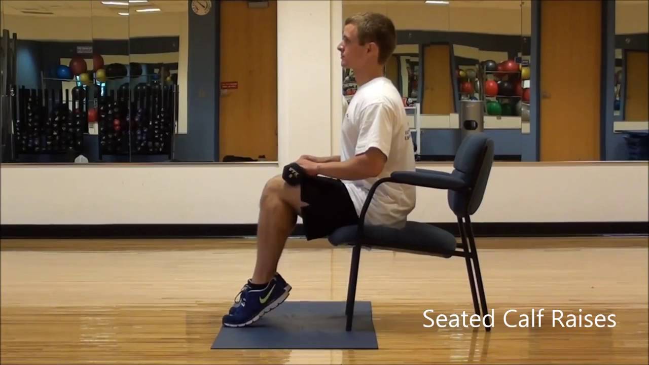 Seated Calf Raises 