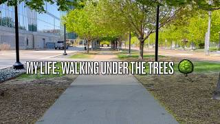 My Life - Walking under the trees