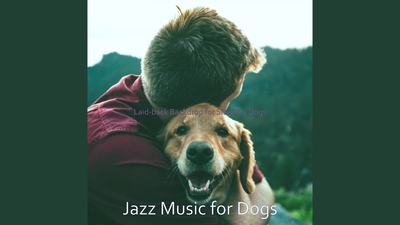 Calm Dogs Home Alone