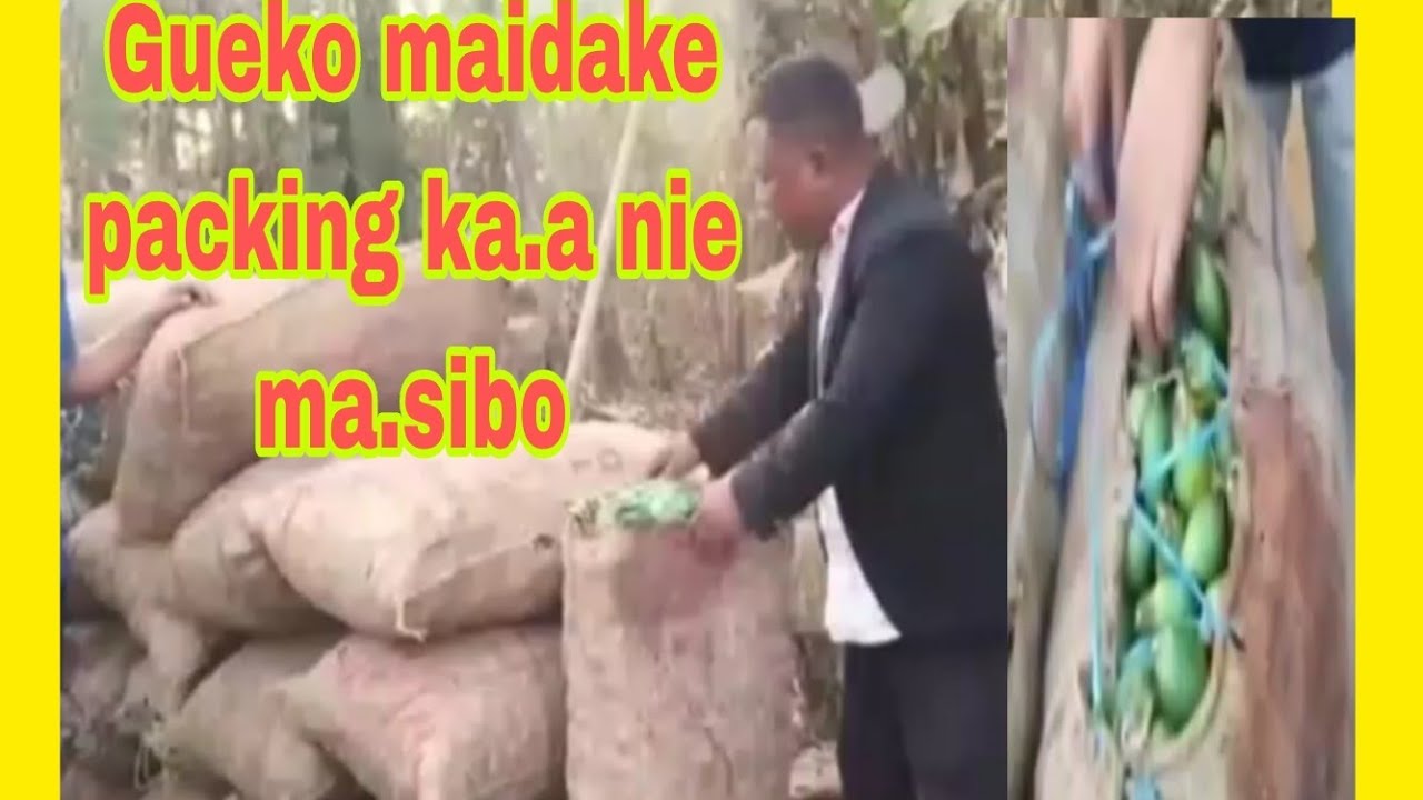 Garo Hillsni guerangko maidake ra.angenga ma.sie ra.bo