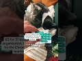 31 days of pill organisation for just £5 from the TIKTOK Spotlight