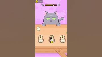 Hide and Seek: Cat Escape! 👀🐱 42 Level Gameplay Walkthrough | Best Android, iOS Games #shorts