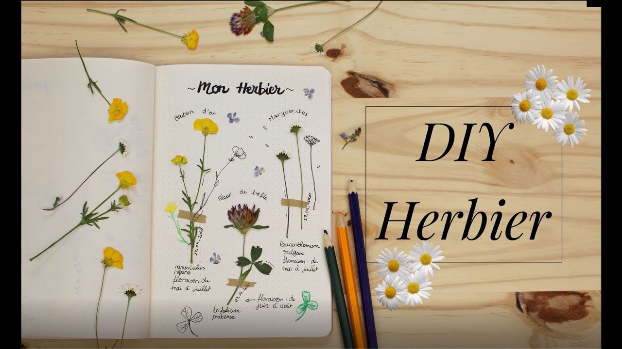 DIY déco : tutoriel pour réaliser un herbier en feutrine - Marie Claire