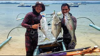 Download Lagu WARM UP SPEARFISHING TOGETHER WITH MASTER JOY ADVENTURE 🐟🤙🇵🇭 MP3 Download Lagu WARM UP SPEARFISHING TOGETHER WITH MASTER JOY ADVENTURE 🐟🤙🇵🇭 MP3