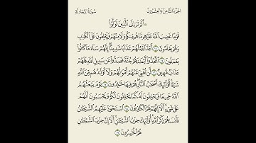 تلاوة بصوت الشيخ بدر العلي // الصف الثاني عشر من سورة المجادلة( 14-19 )