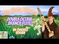 Capture de la vidéo Spalted Manzanita Branch Flute | A4 Dorian Double Octave | Third Eye Chakra Meditation & Sound Demo