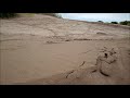 Exploración y Senderismo - San Clemente del Tuyu / Playa Norte