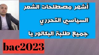 أشهر 06 مصطلحات في الشعر السياسي التحرري مع شرحها وتوضيحها | مصطلحات هامة جدا