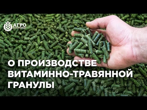 Бизнес на люцерновой грануле. Из чего состоит процесс и насколько это выгодно.