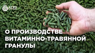 Бизнес на люцерновой грануле. Из чего состоит процесс и насколько это выгодно.