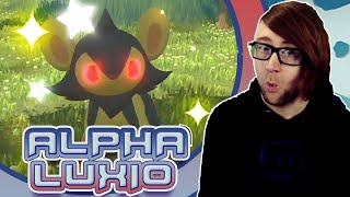 SHINY ALPHA WHISPERER! HELLO LUXIO! Pokemon Legends Arceus