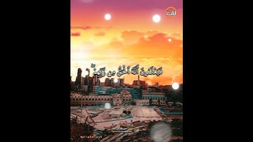 إن الله لا يستحي // الشيخ رعد محمد الكردي - آيات من كتاب الله