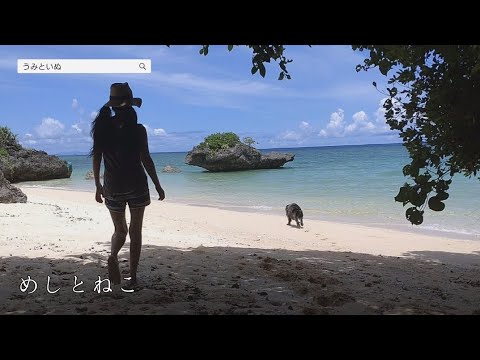 うみといぬ　番外編｢クラゲに刺された日｣
