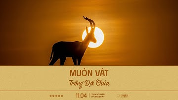 Muôn Vật Trông Đợi Chúa | Oneway Radio - Tĩnh Nguyện Hằng Ngày 11/04/2024