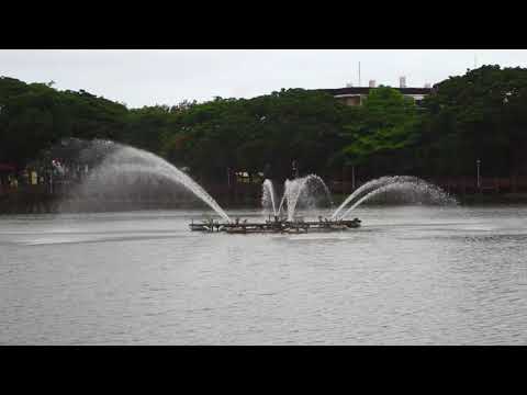 [台南][新營區] 天鵝湖公園｜埤寮埤｜新營唯一天然湖泊｜嘉南埤川國家級濕地｜遊記