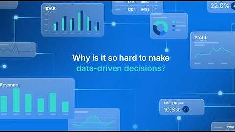 Triple Whale: The Future of Decision-Making is Here