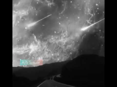 مافيش واحد بيتعلم ببلاش حاله واتساب