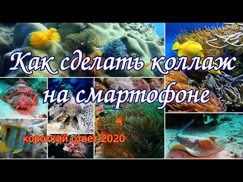 Как быстро сделать коллаж на смартфоне