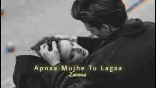 Apnaa Mujhe Tu Lagaa (Slowed Reverb) | Sonu Nigam | 1920 Evil Returns | Zamina