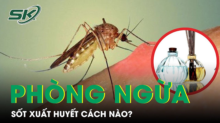 Làm cách nào để dự phòng bệnh do muỗi đốt năm 2024