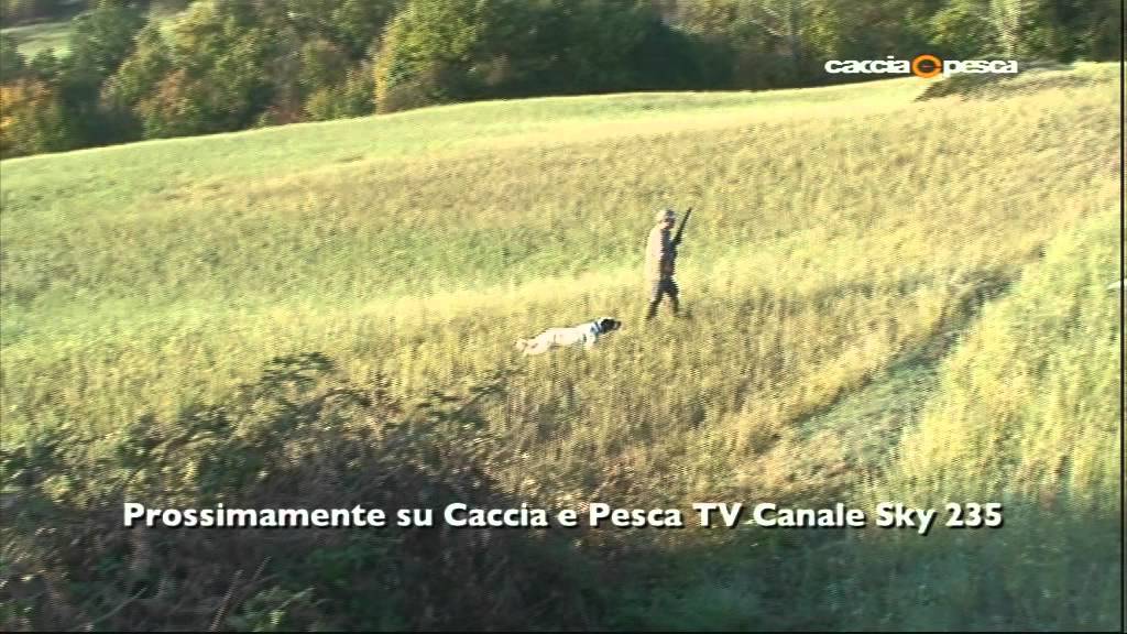 I figli di Chetti.01.mov