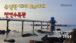 천부해중전망대 영상