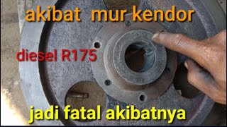 diesel R175  roda gila sampi pecah jadi pusing pemiliknya