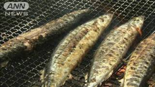 猛暑の影響でサンマ不漁　宮古市の大漁祭が中止に（10/08/29）