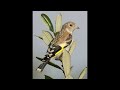 طرقة الساحل سوسة بوحسينة لسنة 2025 طرقة الساحل سوسة بوحسينة لسنة 2025