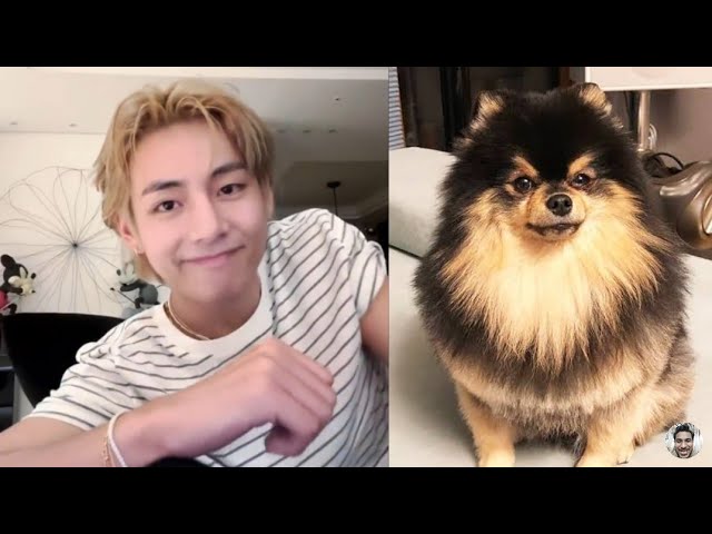 V of BTS and Yeontan give artistic touch in the cozy 'Rainy Days