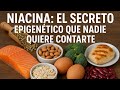 Niacina: El secreto epigenético que nadie quiere contarte
