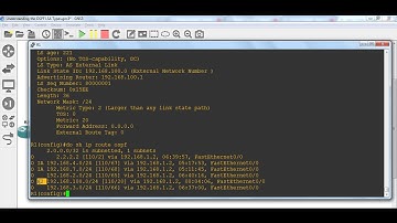 Understanding  OSPF LSA Types Introduction