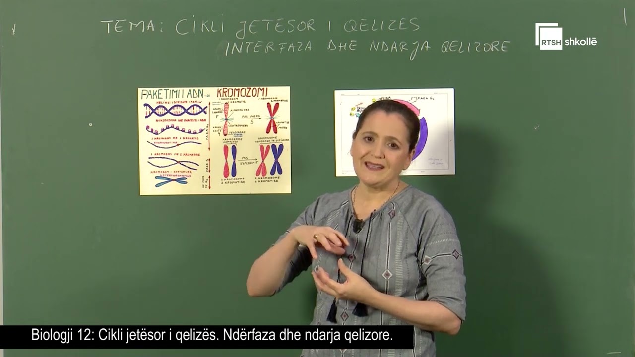 Cikli jetësor i qelizës. Ndërfaza dhe ndarja qelizore | Biologji 12