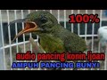 Suara Audio Terapi Konin Ijoan Ampuh Pancing Bunyi Omkicau(.mp3 .mp4) Mp3 - Mp4 Download